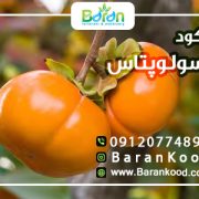 کود سولوپتاس