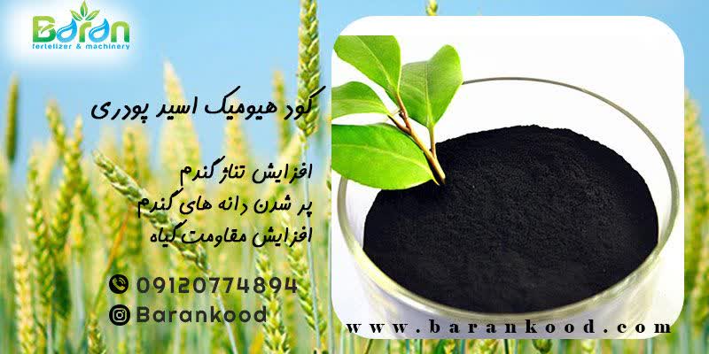 کود هیومیک اسید