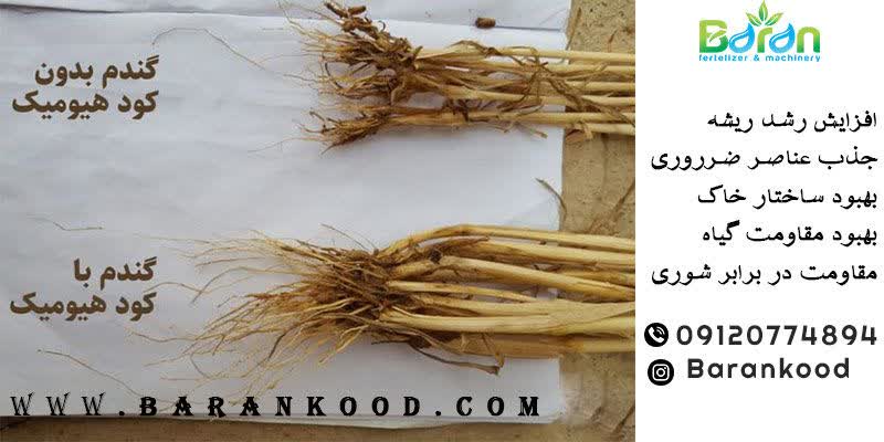 کود هیومیک اسید