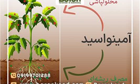 کود اسید امینه