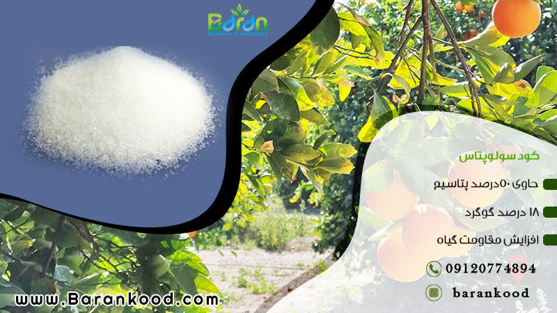 کود سولوپتاس