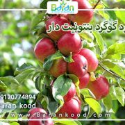 کود گوگرد بنتونیت دار