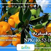 کود فسفر بالا