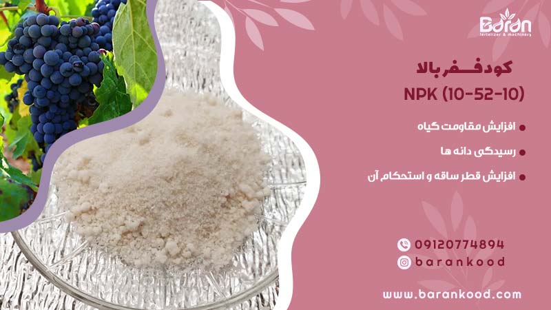 کود npk 10.52.10