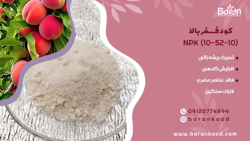 کود npk 10.52.10