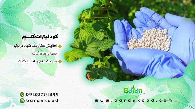 کود نیترات کلسیم