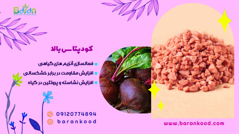 کود پتاس بالا