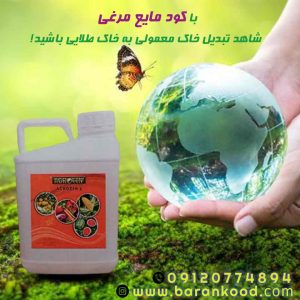 کود مرغی مایع