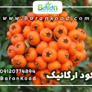 کود ارگانیک