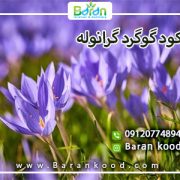 گوگرد گرانوله