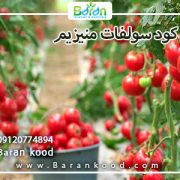 کود سولفات منیزیم