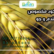 کود مخصوص گندم و جو