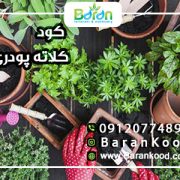 کود کلات آهن