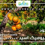 کود اسید هیومیک