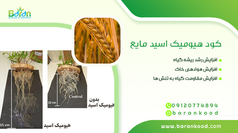 کود هیومیک اسید مایع