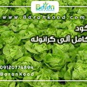 کود کامل آلی گرانوله