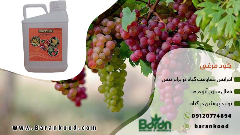 کود مایع مرغی