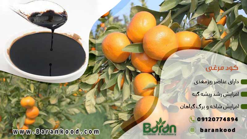 کود مایع مرغی