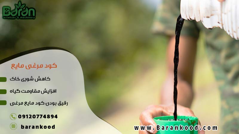 کود مایع مرغی