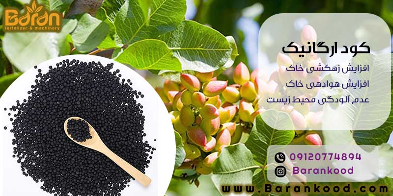 کود ارگانیک