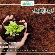 کود ارگانیک