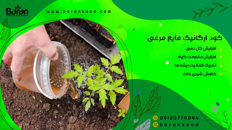 کود ارگانیک