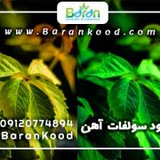 کود سولفات آهن پودری