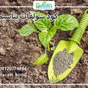 کود سولفات پتاسیم