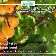 کود سیلیکات کلسیم