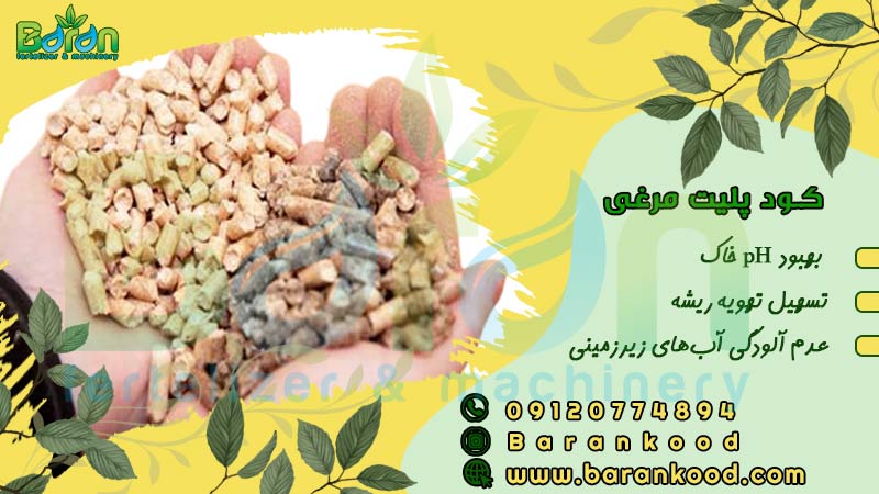 کود مایع مرغی در هکتار