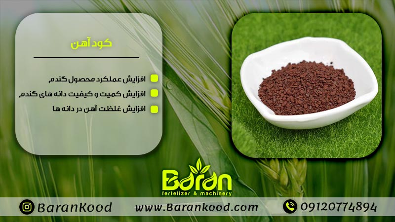 کود مخصوص گندم و جو