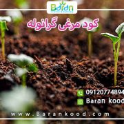 کود مرغی گرانوله