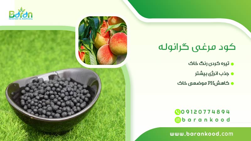 کود مرغی گرانوله