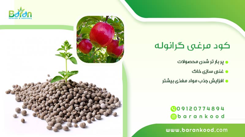 کود مرغی گرانوله