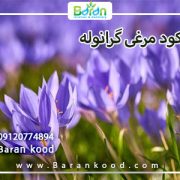 کود مرغی گرانوله