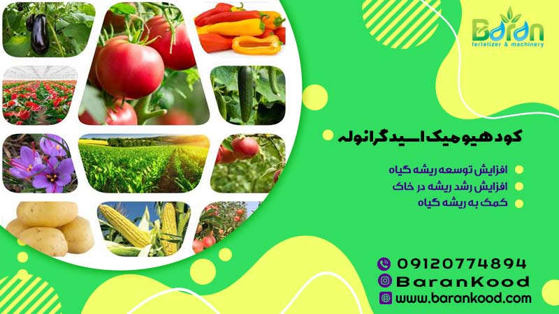 کود هیومیک اسید گرانوله