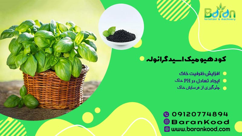 کود هیومیک اسید گرانوله
