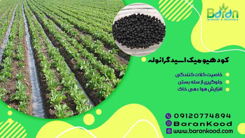 کود هیومیک اسید گرانوله
