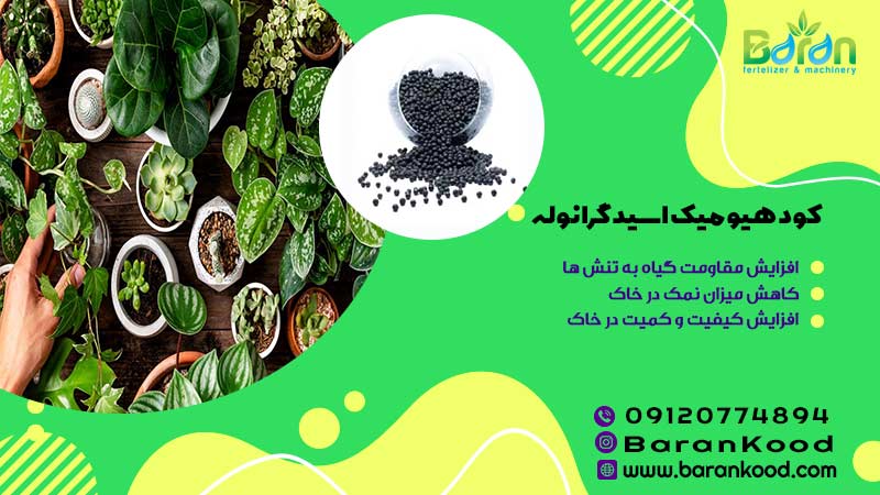 کود هیومیک اسید گرانوله