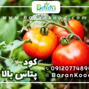 کود پتاس بالا