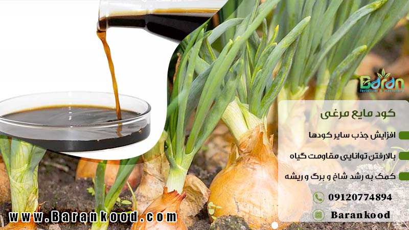 کود اختصاصی پیاز