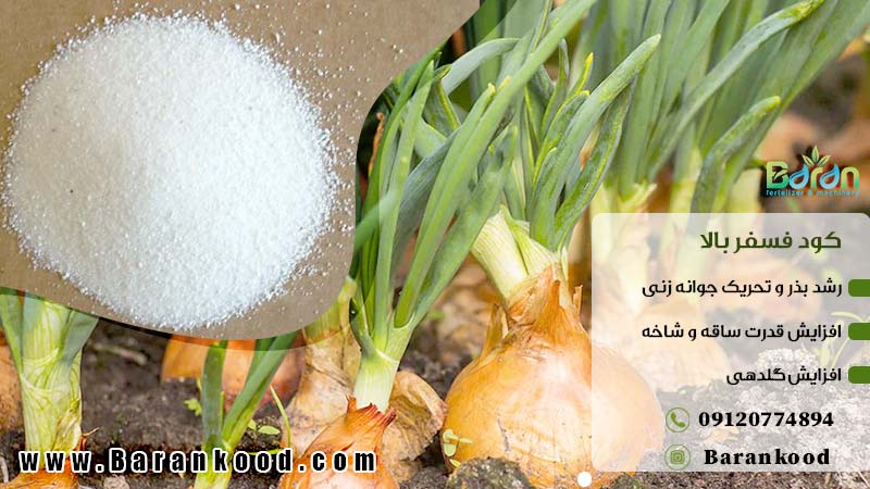 کود اختصاصی پیاز