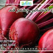 کود اختصاصی چغندر