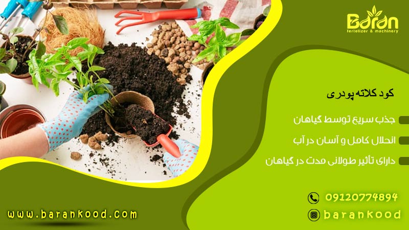 کود کلات آهن