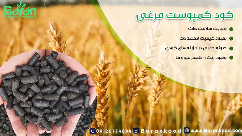 کود کمپوست مرغی