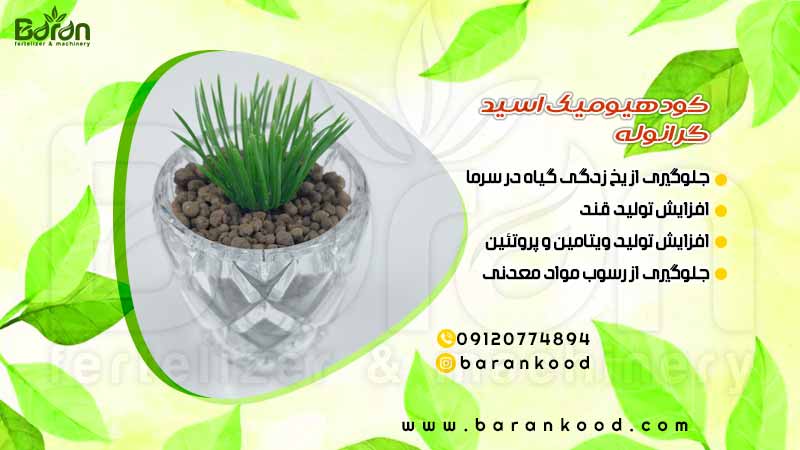 کود هیومیک اسید