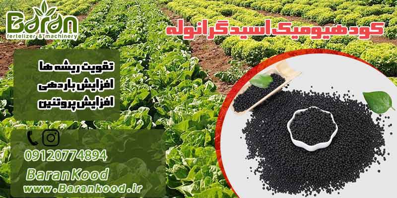 کود هیومیک اسید