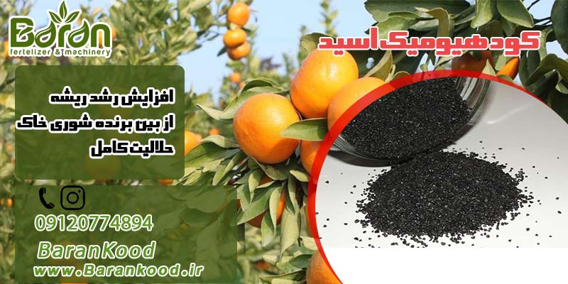 کود هیومیک اسید