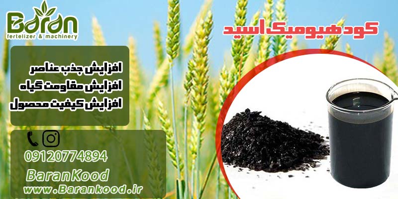 کود هیومیک اسید