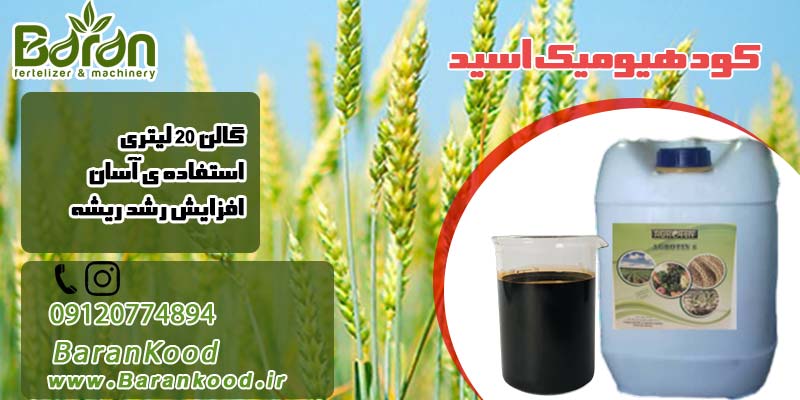 کود هیومیک اسید